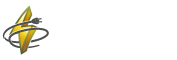 logo-sani-elecservices